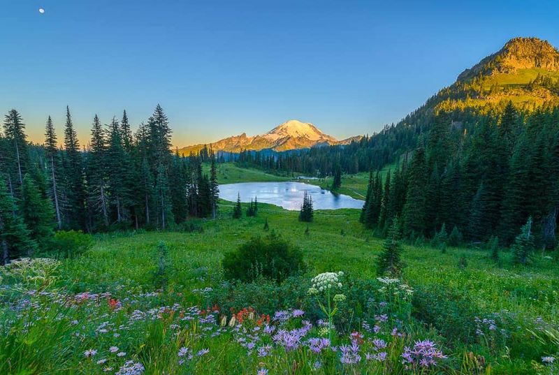 Chinook Scenic Byway (State Route 410)