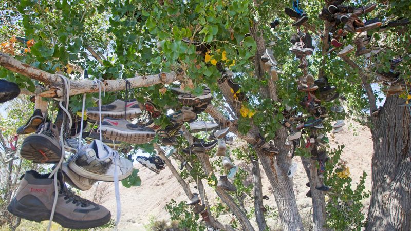 Middlegate Shoe Tree