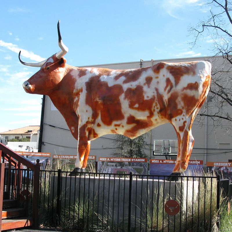 Giant Longhorn Statue in Austin