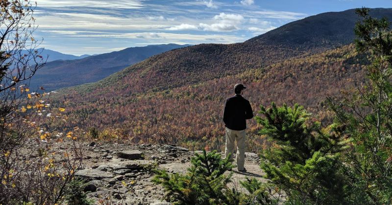 The Appeal of Solitude and Quiet Forests