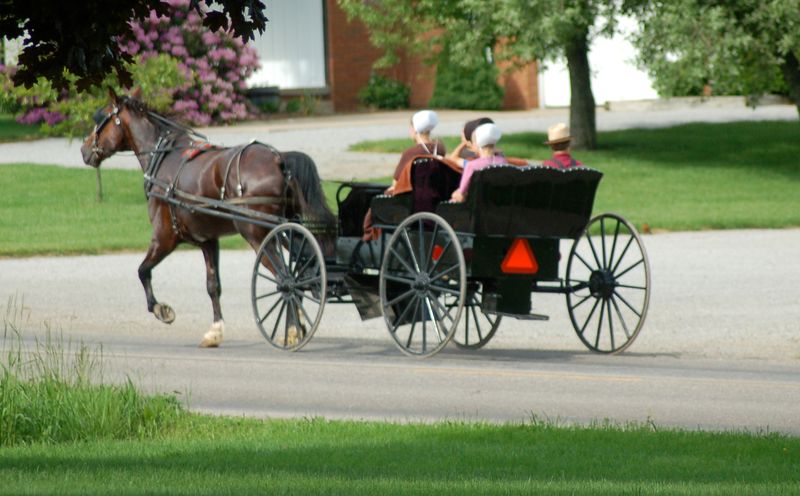 Amish Buggy Traffic Surprises