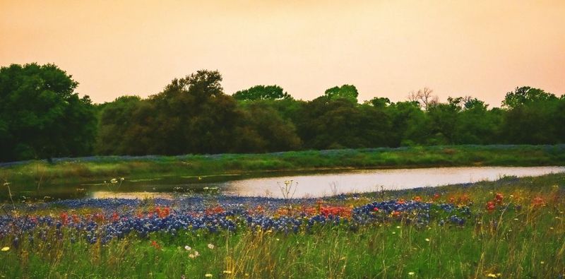 Drifting Through Dripping Springs