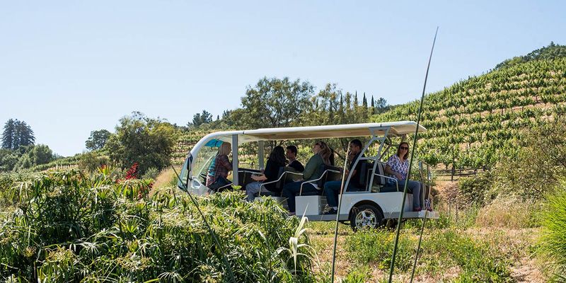 Benziger Family Winery, Glen Ellen