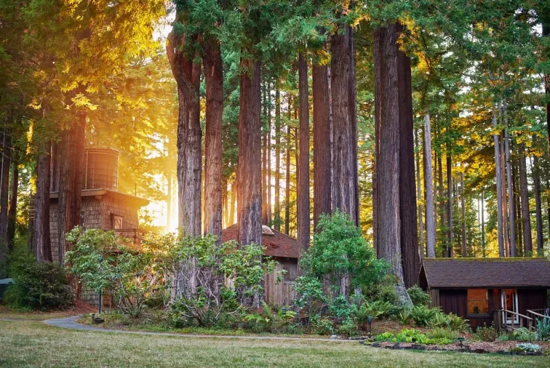 Spirit Camp Yoga Retreat, Northern California