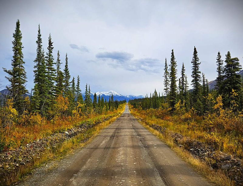 Nabesna Road Into Wrangell St Elias Wilderness