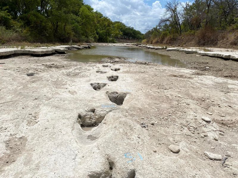 Dinosaur Valley State Park – Where Little Feet Meet Giant Footprints
