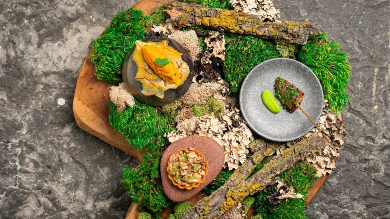 Brutø: Michelin-Starred Sustainability in the Dairy Block