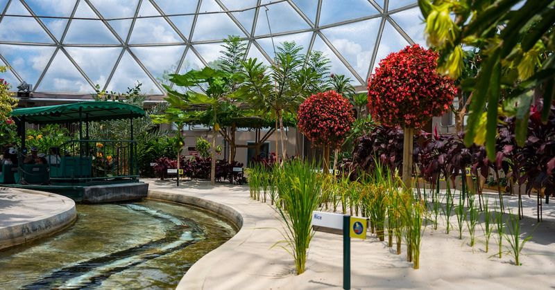 Living with the Land (Epcot, Walt Disney World)