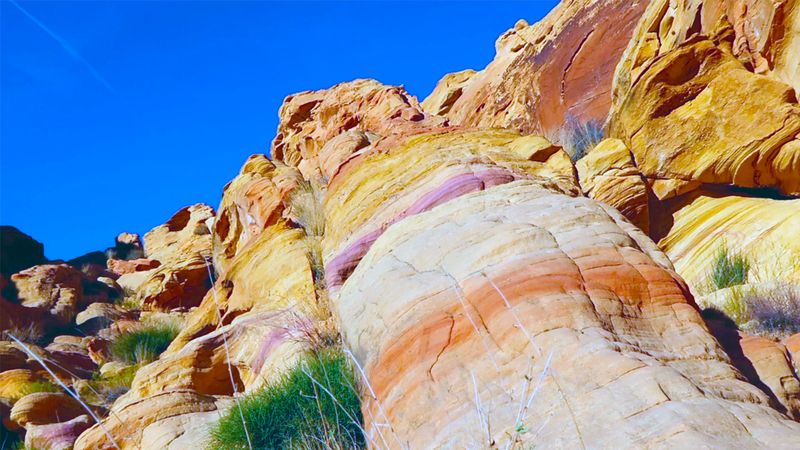 Rainbow Vista Trail's Psychedelic Rock Formations