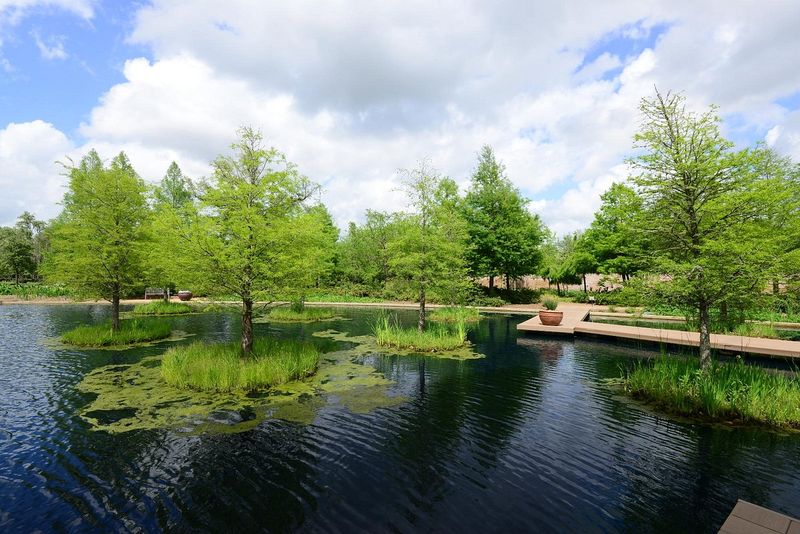 Shangri La Botanical Gardens: East Texas Wilderness