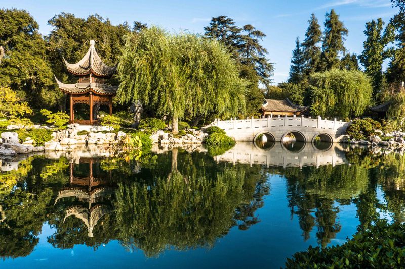 Huntington Library and Gardens: Botanical Paradise Beyond Hollywood