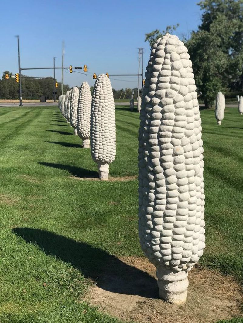 Corn Field Installation in Columbus