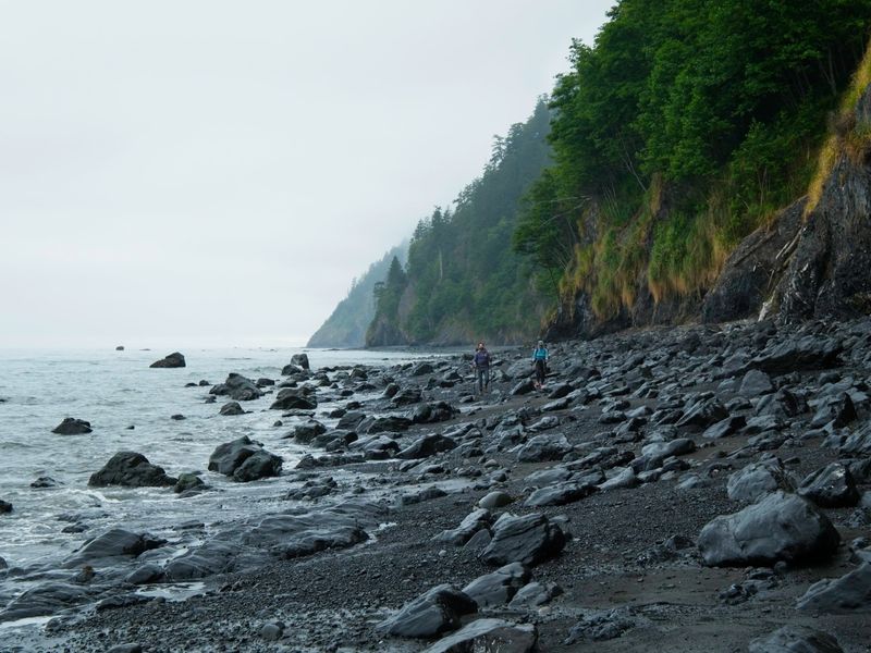 Rugged Lost Coast Scenery
