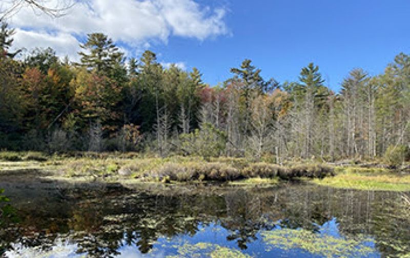 Gete Mino Mshkiigan State Park (Cheboygan County)