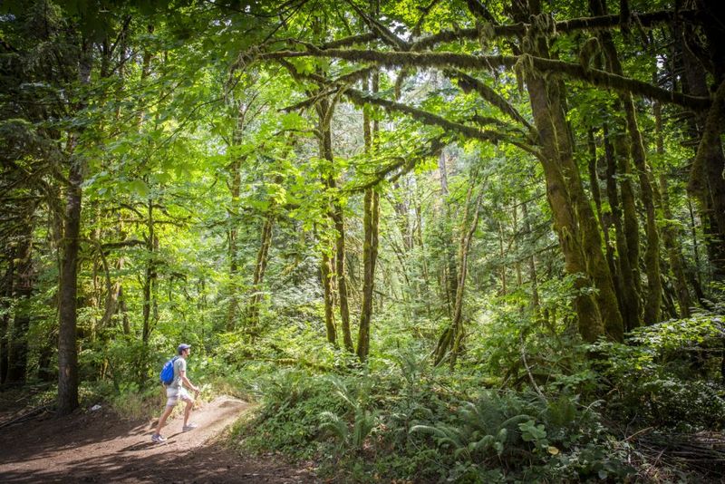 Trees to Sea Scenic Byway