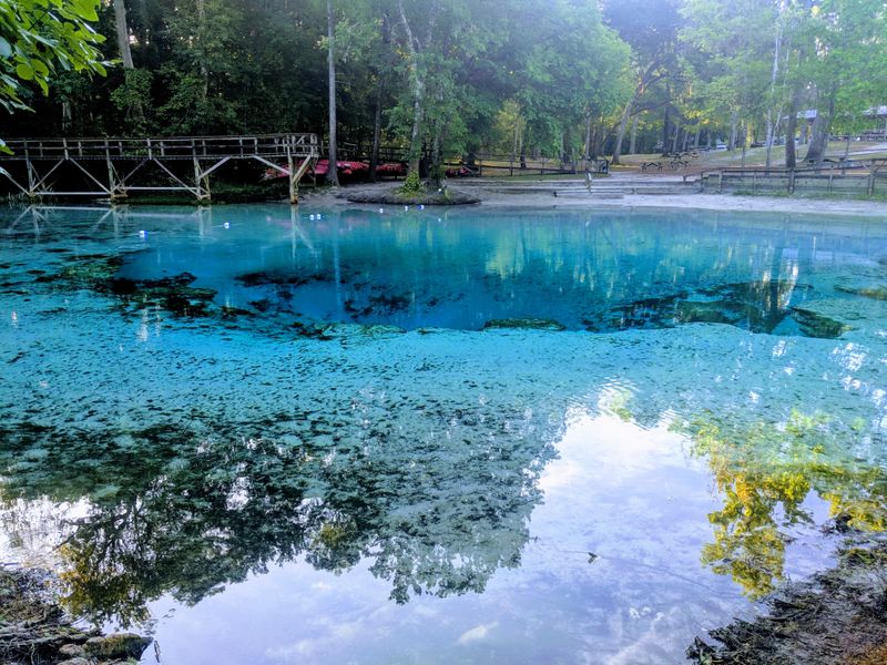 Gilchrist Blue Springs: Nature's Perfect Swimming Hole