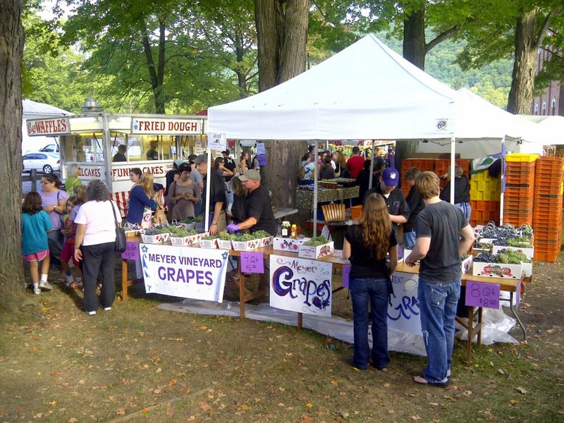 Naples Grape Festival in the Finger Lakes