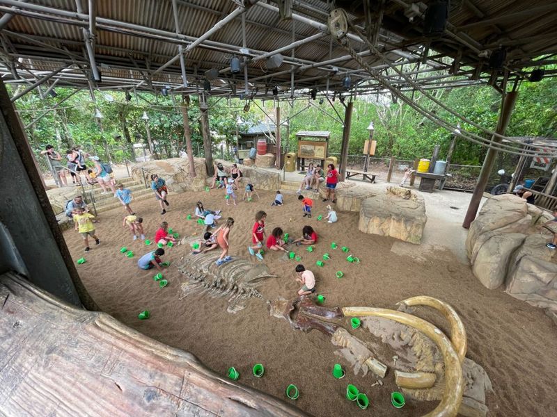The Boneyard (Animal Kingdom, Walt Disney World)
