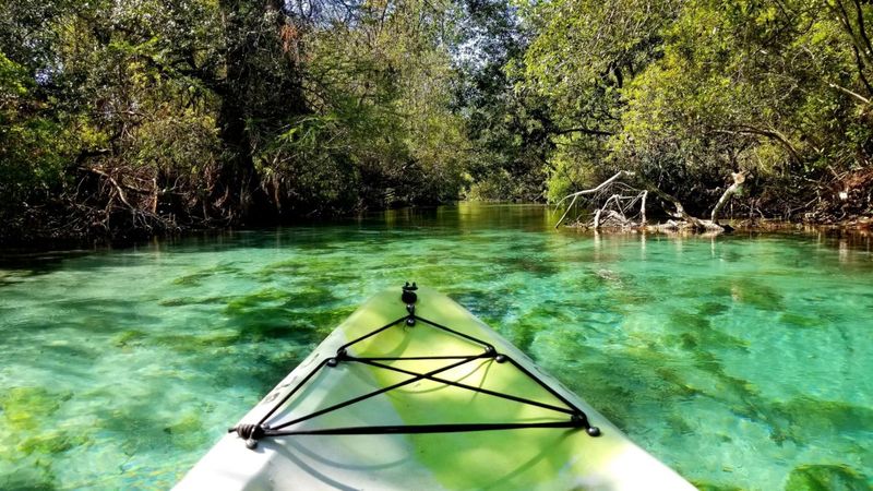 Weeki Wachee Springs - Crystal Clear Paradise