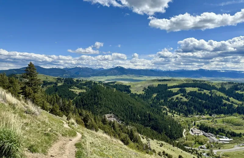 Bridger Ridge Trail
