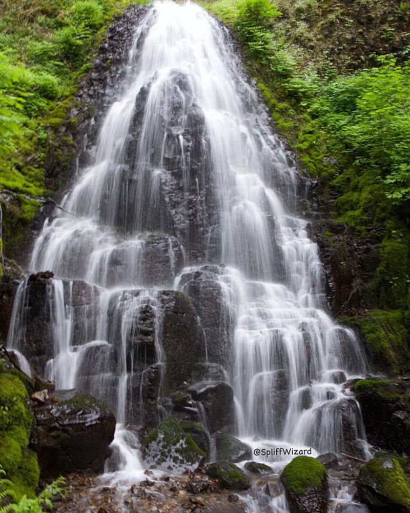 Fairy Falls: Where Magic Hides in Plain Sight