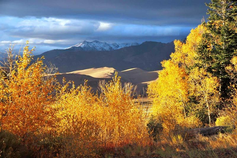 Nearby Attractions: When You Need a Break from Sand (But Not Adventure)