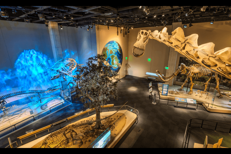 The Perot Museum – Dallas' Mind-Blowing Science Playground
