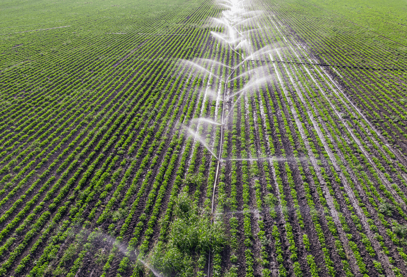 Agricultural Runoff and Nutrient Control Efforts