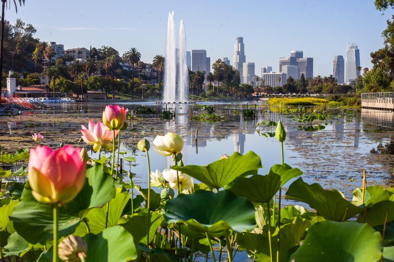Echo Park Lake: Urban Oasis with Downtown Skyline Views