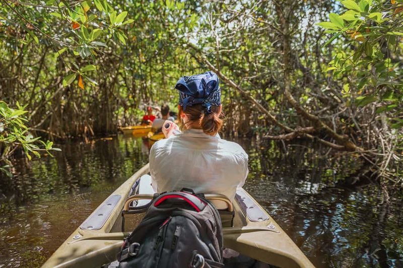 Everglades National Park - Wild Mangrove Tunnels