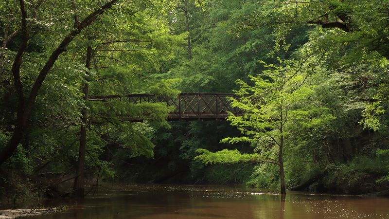 Kirby Nature Trail – Big Thicket National Preserve