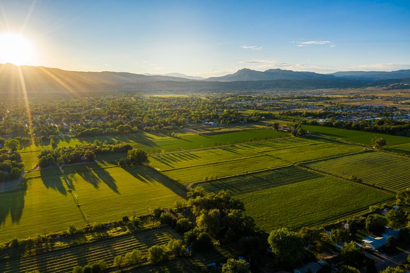 Hotchkiss: Orchards and Vineyards