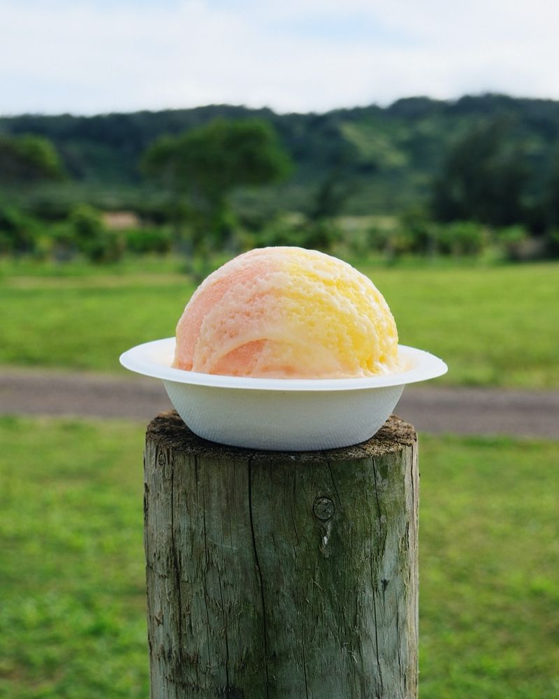 Kula Shave Ice: Big Island's Farm-to-Spoon Delight
