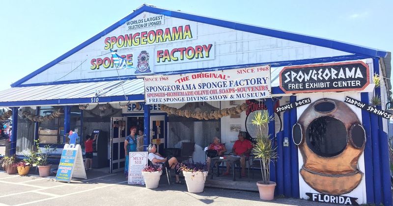 Spongeorama and World's Largest Sponge
