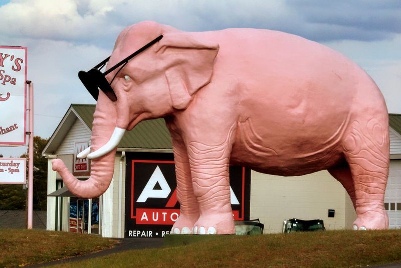 Ellie the Pink Elephant (Cookeville)