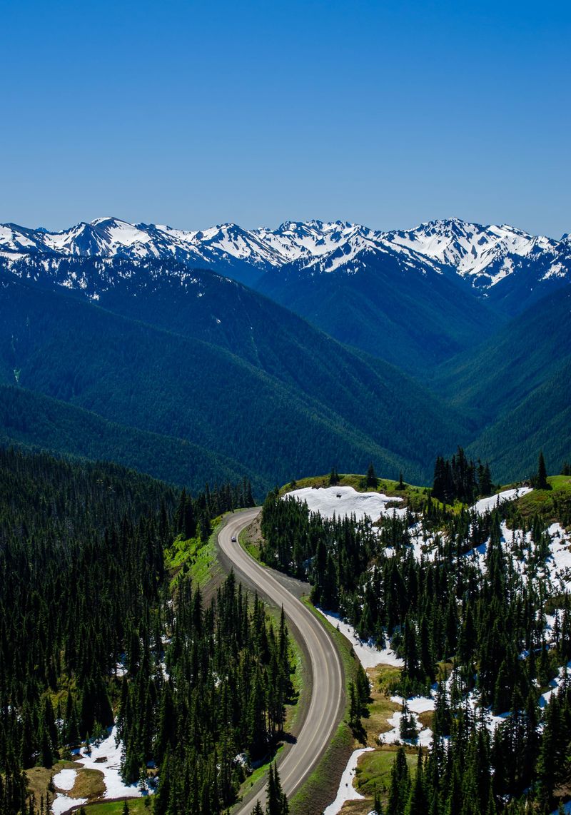 Hurricane Ridge Road: Above the Clouds