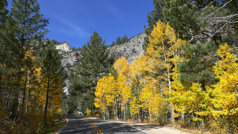Ebbetts Pass