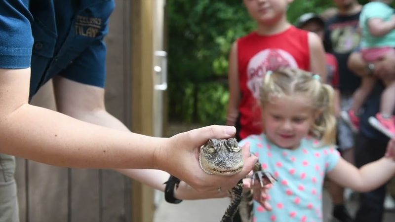 Clyde Peeling’s Reptiland Near Williamsport