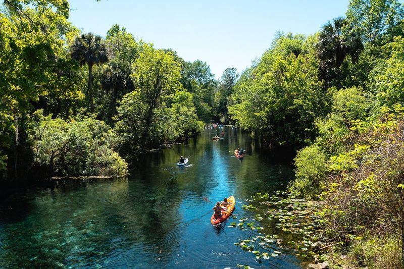 Silver Springs State Park