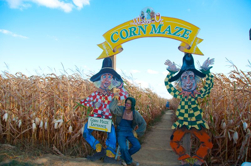 Harbes Family Farm, Mattituck