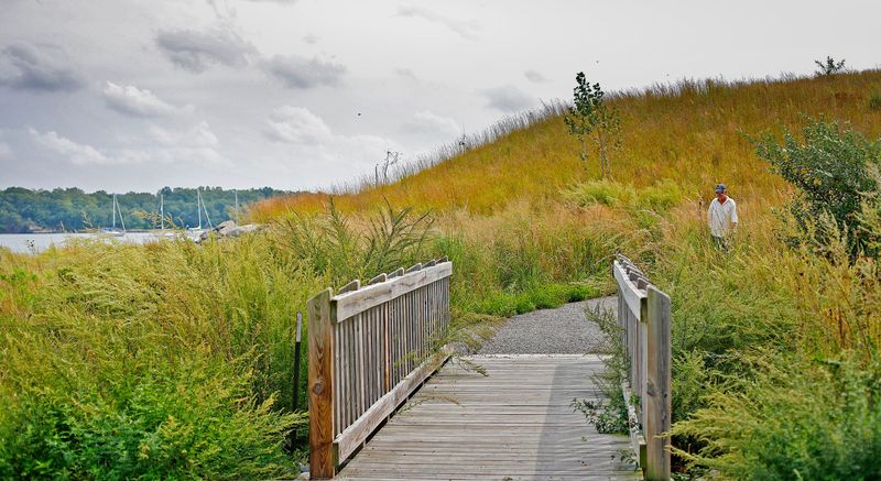 Webb Memorial State Park: Peninsula Paradise