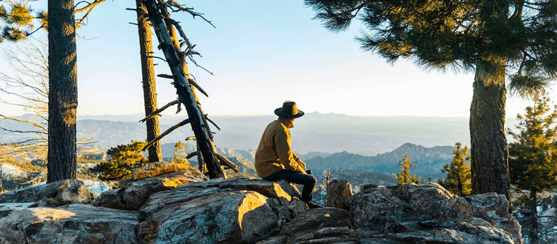 Mount McConnel National Recreation Trail: A Sky-High Forest Retreat