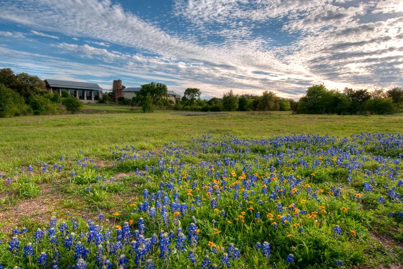 Lady Bird Johnson Wildflower Center's Meadow Trails