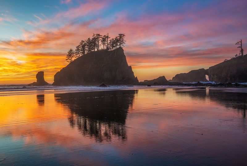 Second Beach: The Forest-to-Shore Dream