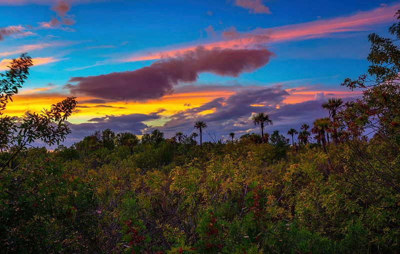 Everglades National Park: Where Wilderness Meets Water