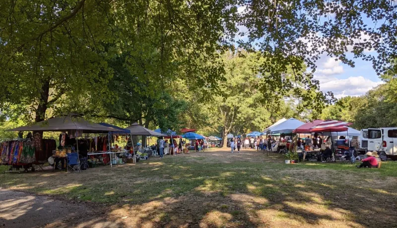 Dedicated Space In The Park