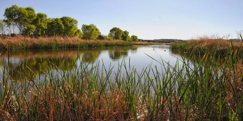 Sedona Wetlands Preserve