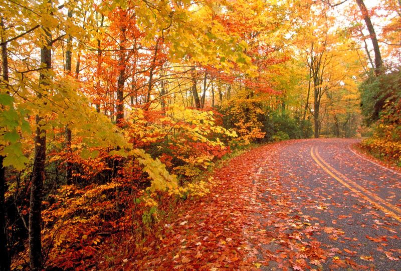 Hudson Valley Foliage