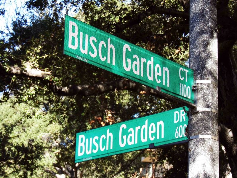Busch Gardens Pasadena 