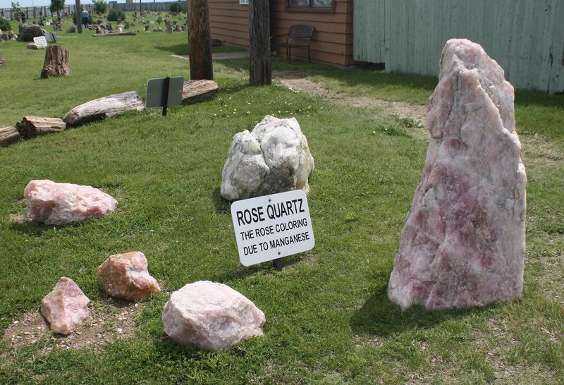 Badlands Petrified Gardens in Kadoka